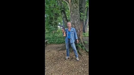 Александр Рогов VK Видео