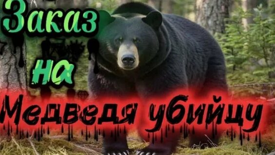 Александр Самарин Rutube