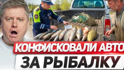 Александр Шумский Дзен