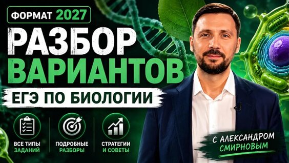 Александр Смирнов VK Видео