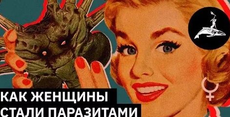 Александр Смирнов VK Видео