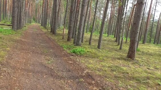 Александр Терехов VK Видео