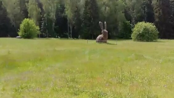 Александр Терехов VK Видео