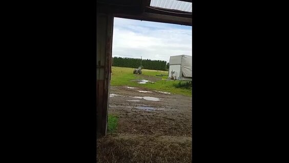 Александр Терехов VK Видео