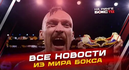 Александр Усик Дзен