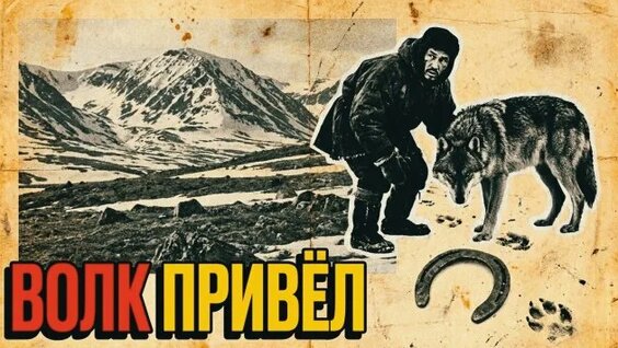 Александр Волков Rutube