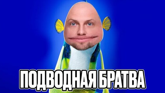 Александр Зубарев VK Видео