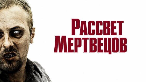Александр Зубарев VK Видео