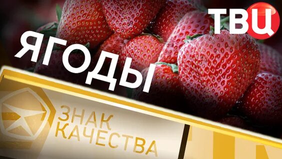 Алексей Пушков Rutube