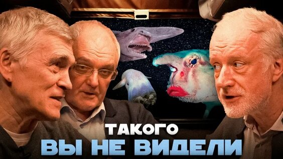 Алексей Семихатов VK Видео