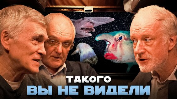 Алексей Семихатов YouTube