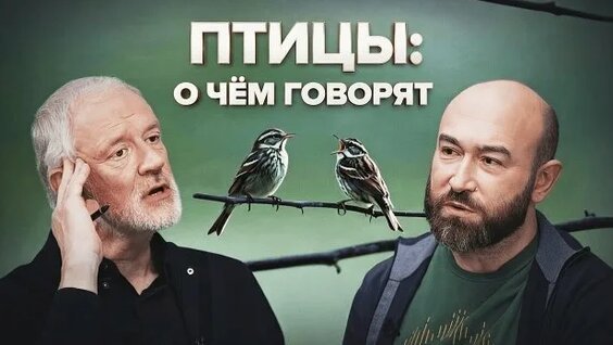 Алексей Семихатов Rutube