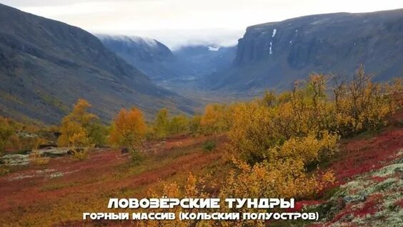 Алексей Семихатов Rutube