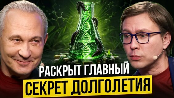 Алексей Ситников YouTube
