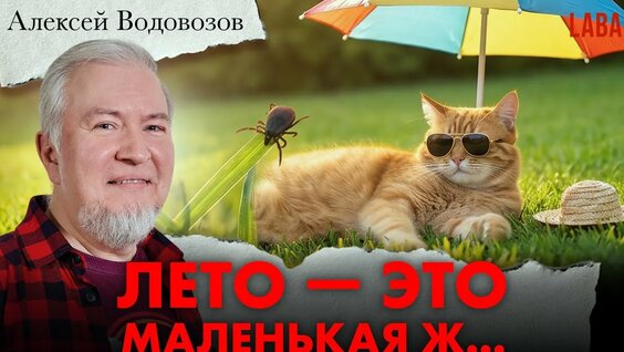 Алексей Водовозов YouTube
