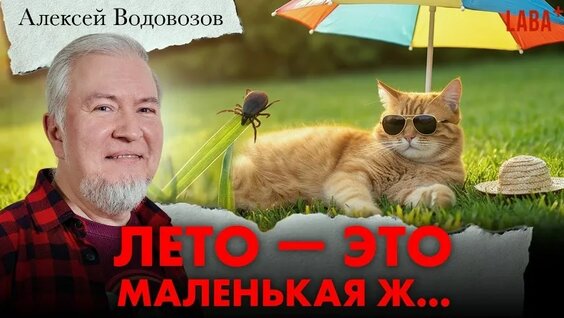 Алексей Водовозов VK Видео