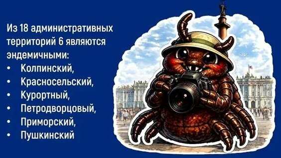 Алексей Водовозов Rutube