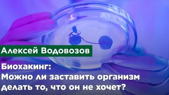 Алексей Водовозов Rutube