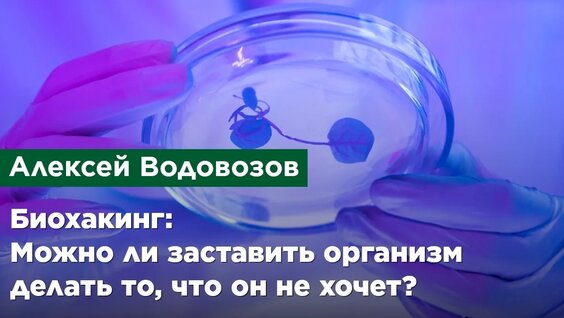 Алексей Водовозов VK Видео