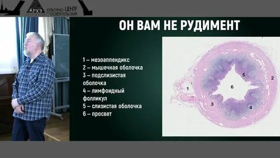 Алексей Водовозов Rutube