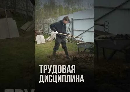 Алексей Земсков YouTube