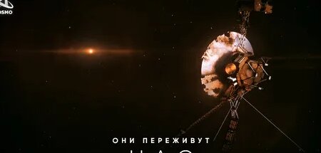 Алиса Дзен