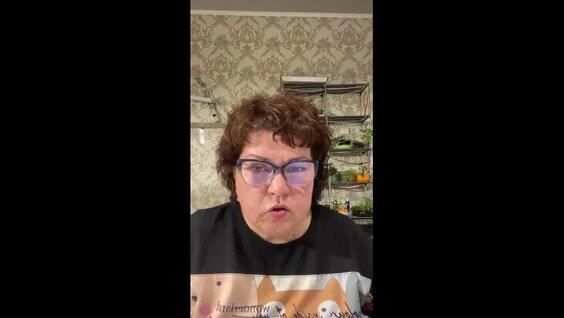 Алсу VK Видео