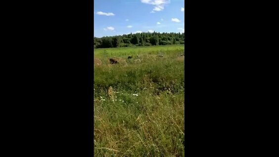 Андрей Афонин VK Видео