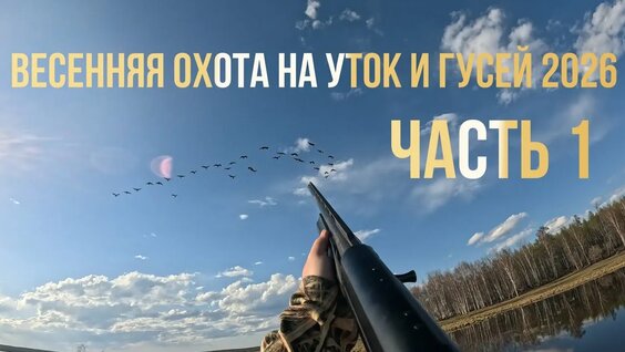 Андрей Андреев YouTube
