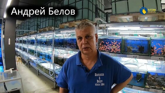 Андрей Белов Rutube