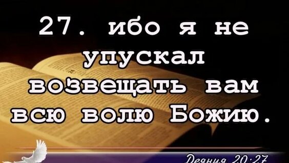 Андрей Бурковский Rutube