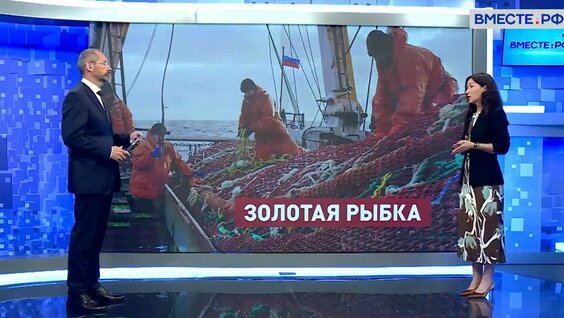 Андрей Чибис VK Видео