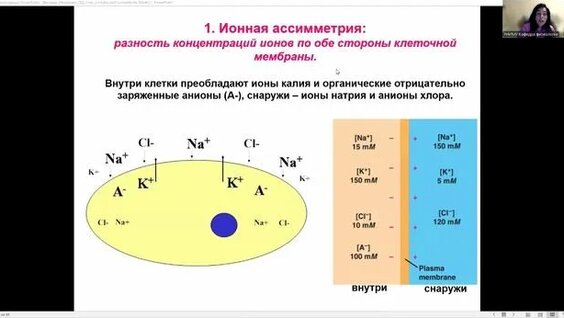 Андрей Чибис 2 недели назад