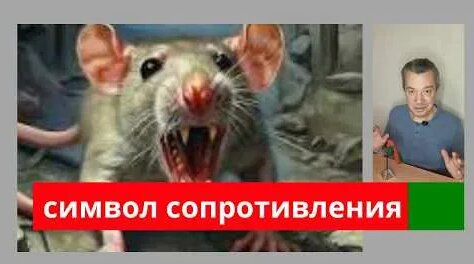 Андрей Козицын YouTube