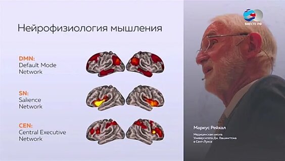 Андрей Курпатов VK Видео