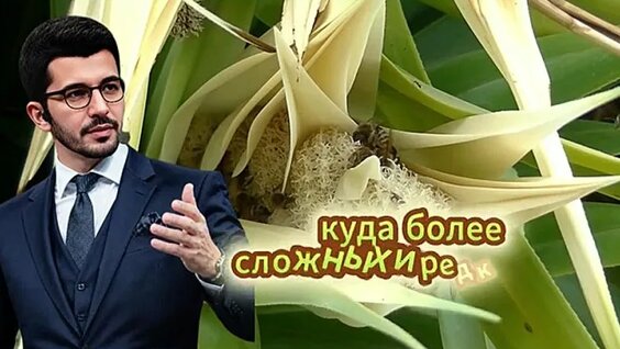 Андрей Курпатов 2 недели назад
