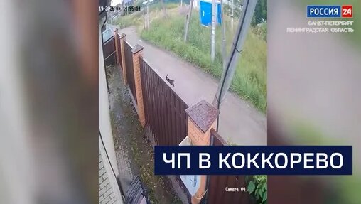 Андрей Мерзликин Дзен