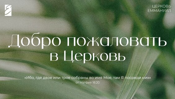 Андрей Никитин VK Видео