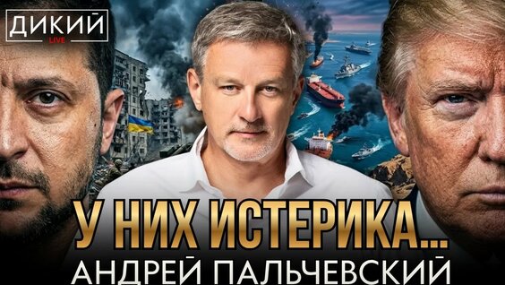 Андрей Пальчевский YouTube
