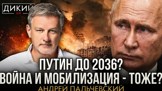 Андрей Пальчевский YouTube