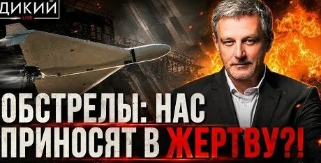 Андрей Пальчевский VK Видео