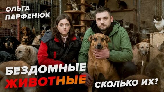 Андрей Прокофьев VK Видео
