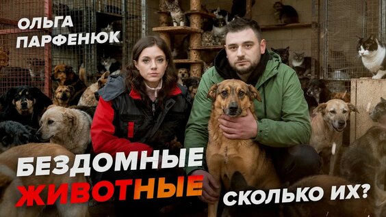Андрей Прокофьев YouTube