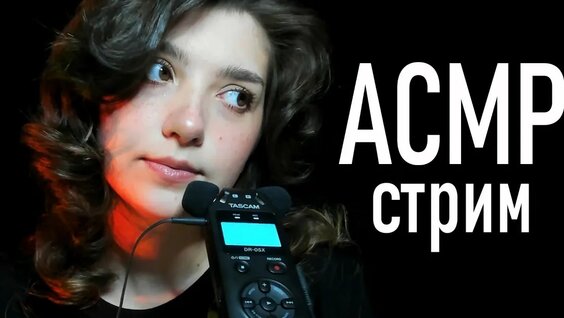 Animal ДжаZ YouTube