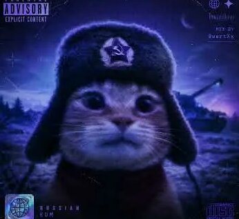 Animal ДжаZ YouTube