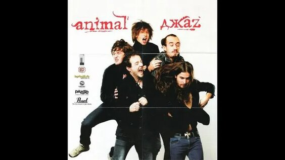 Animal ДжаZ Rutube