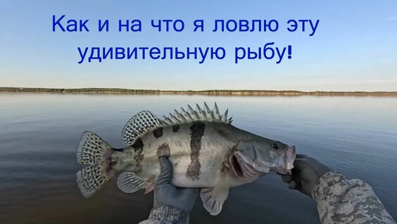 Анна Снаткина Rutube