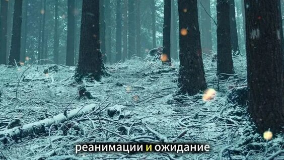 Артемий Лебедев Rutube