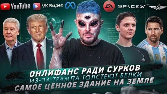 Артемий Лебедев VK Видео