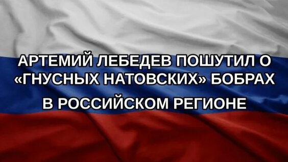 Артемий Лебедев Rutube